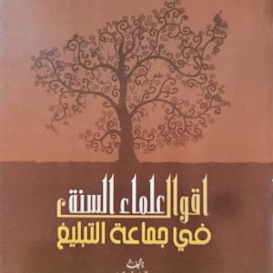 أقوال علماء السنة في جَمَاعة التَبليغ - شيخ ربِيع المدخلِي